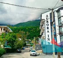 Отель 'Aurora Inn' в Гаграх
