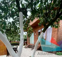 Гостевой дом 'Мальвина' в Гаграх