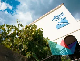 Гостевой дом 'Морской ангел' в Судаке